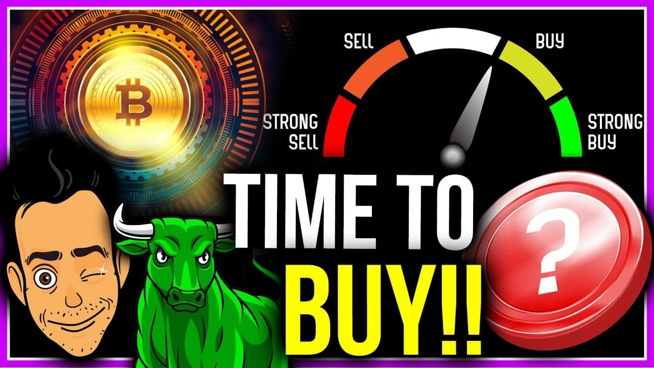 BITCOIN SIGNALS STRONG ALTCOIN OPPORTUNITY! (NEW PORTFOLIO)
