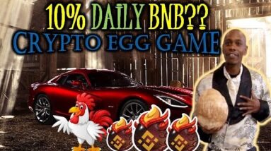 BNB CRYPTO EGG🥚GAME | 🤔 10% DAILY MINER?? | MONEY BACK IN 10 DAYS?? | A Second Look MUST Be Had 🧐