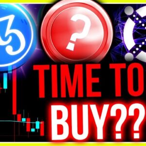 ONE FINAL BITCOIN BEAR TRAP?? WATCH THESE INSANE ALTCOINS EXPLODE!!