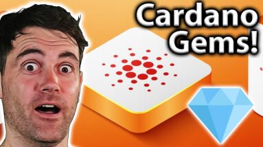 TOP Cardano Projects & The Smart Contract FUD!! 💎