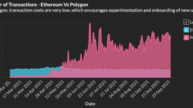 arbitrage bots spam attack on the polygon network generated 6800 per day