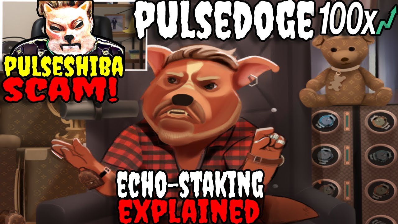 PULSEDOGE ECHO STAKING EXPLAINED ( LIKE A HEX POOL ) REX CRYPTO K!LLA ? PULSESHIBA SCAM DRIP NETWORK