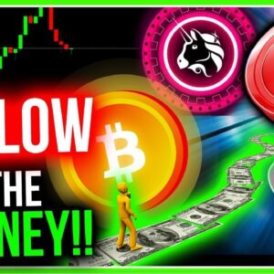MONEY IS FLOODING INTO THESE CRITICAL ALTCOINS!! (1 IMPORTANT REASON)