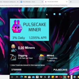 NEW MINER JUST LAUNCHED - PULSECAKE MINER
