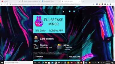 NEW MINER JUST LAUNCHED - PULSECAKE MINER