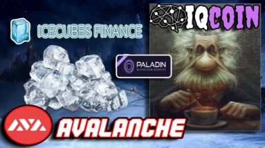 AVALANCHE YIELD FARMS PRINTING MAD GAINS ICECUBES FINANCE & IQCOIN | DRIP NETWORK MANSION IN AFRICA
