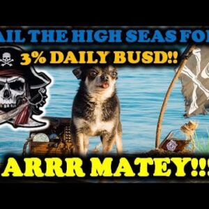 BSC PIRATES 🏴‍☠️ LAUNCH THEIR 3% DAILY BUSD JUST 1Hr AGO!! | STACK YOUR TREASURE CHEST w/ BUSD☠️