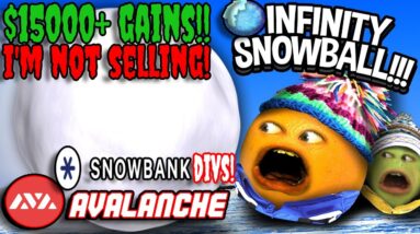 $15000+ GAINS AND IM NOT SELLING! SNOWBANK DAO DIVS SNOWBALL SNO AVALANCHE 375999% APY DRIP NETWORK