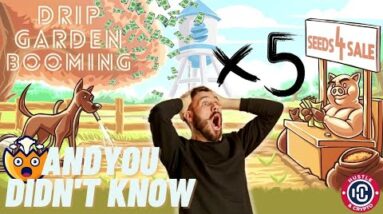 You 5x'd & Didn't Know🤯 How to calculate the value of your Drip Garden🌱Drip Network 💦
