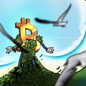carbon neutral bitcoin new approach aims to help investors offset btc carbon emissions