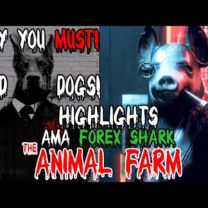 FOREX SHARK AMA HIGHLIGHTS - WHY YOU MUST HOLD DOG TOKENS ! DRIP NETWORK THE ANIMAL FARM TRANSITION