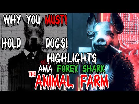 FOREX SHARK AMA HIGHLIGHTS – WHY YOU MUST HOLD DOG TOKENS ! DRIP NETWORK THE ANIMAL FARM TRANSITION