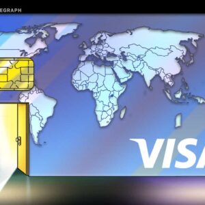 visa survey shows that 24 of smbs plan to accept crypto payments