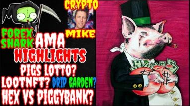 FOREX SHARK AMA HIGHLIGHTS - HEX VS PIGGY BANK - DRIP NETWORK PARTNERSHIPS AND MORE ! 💧💧🔥🔥👀