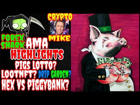FOREX SHARK AMA HIGHLIGHTS - HEX VS PIGGY BANK - DRIP NETWORK PARTNERSHIPS AND MORE ! ?????