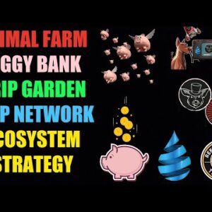 Animal Farm - Piggy Bank - Drip Garden - Drip Network - Ecosystem Strategy