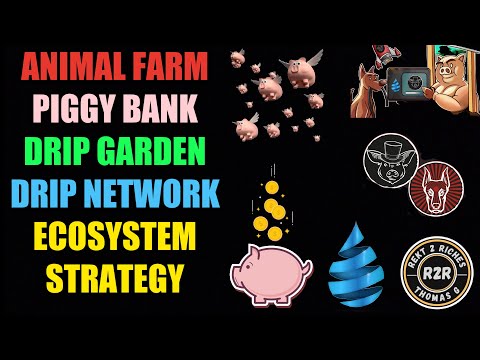 Animal Farm – Piggy Bank – Drip Garden – Drip Network – Ecosystem Strategy