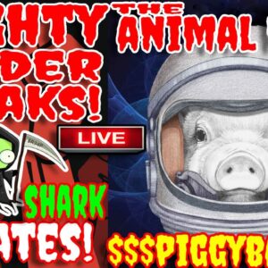 MIGHTY LEADER SPEAKS ! - FOREX SHARK LIVE AMA & UPDATES | THE ANIMAL FARM - DRIP NETWORK