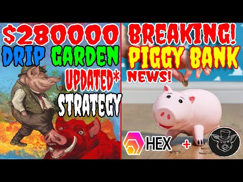 $280000 DRIP GARDEN UPDATED STRATEGY - PIGGY BANK BREAKING NEWS | HEX + GARDEN ? | DRIP NETWORK
