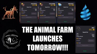 THE ANIMAL FARM LAUNCHES TOMORROW! WHAT NOW?!?!?