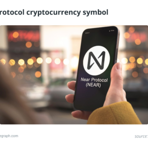 what is the near protocol and how does it work