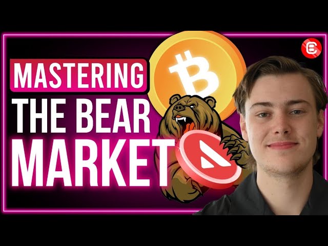 The Best Crypto Strategies to Master a Bear Market | Build The Perfect Portfolio