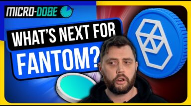 Andre Cronje Fantom Update - Whats Next for Fantom?