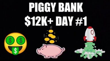 Animal Farm Piggy Bank Earned $12K+ Day #1