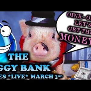 THE PIGGY BANK USER-INTERFACE IS ACCESSIBLE | THE CONTRACT LAUNCH COUNTDOWN CLOCK T-MINUS 17HRS!!