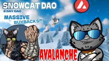 SNOWCAT DAO PRESALE ON AVALANCHE MILLIONS APY? MINIPANTHER DAO FANTOM UPGRADED | DRIP NETWORK