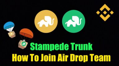 Stampede Perpetual Bonds - How To Join The Team Air Drops!