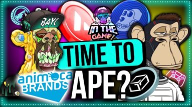 What Is Ape Coin & Why It Could Be Massive for NFT’s & Crypto-Gaming?