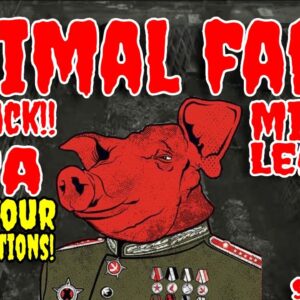 THE ANIMAL FARM IS BACK! MIGHTY LEADER SPEAKS! FOREX SHARK ANSWERING ALL QUESTIONS! | DRIP NETWORK