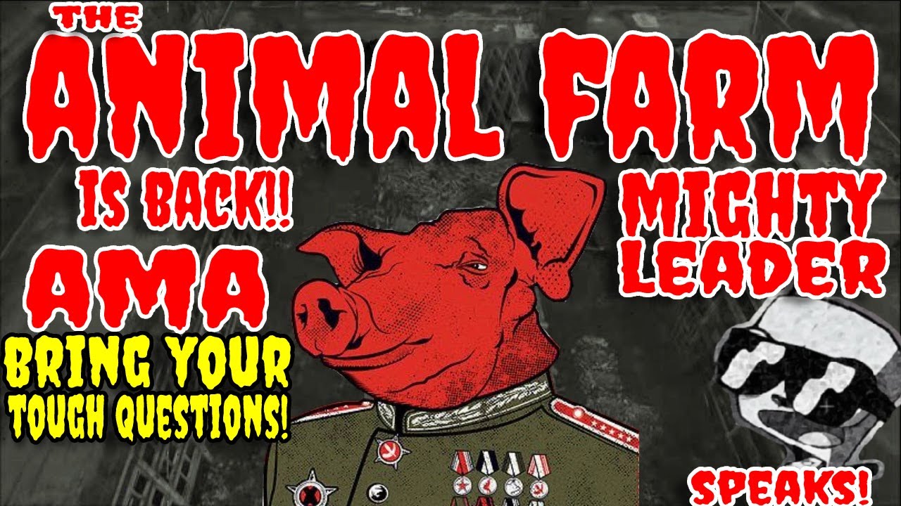 THE ANIMAL FARM IS BACK! MIGHTY LEADER SPEAKS! FOREX SHARK ANSWERING ALL QUESTIONS! | DRIP NETWORK