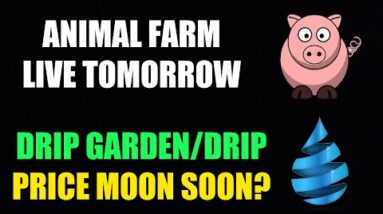 Animal Farm Live Again Soon! Drip Network + Drip Garden Strategy!
