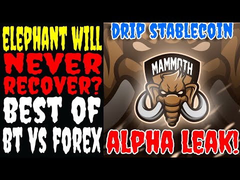 MAMMOTH DRIP NETWORK STABLECOIN? ELEPHANT MONEY WILL NEVER RECOVER? BT VS FOREX SHARK HIGHLIGHTS