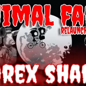 THE ANIMAL FARM RELAUNCH - RISE UP! FOREX SHARK LIVE AMA | EARNED DOG TOKENS? | DRIP NETWORK