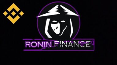 Ronin Finance - Synthetic Stablecoins - Review!