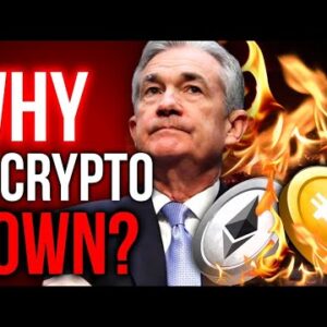 Why Is Crypto Going Down And When Will It Stop?