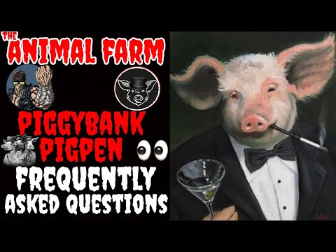 THE ANIMAL FARM PIGGYBANK & PIGPEN TOP 10 FAQS | EVERYTHING YOU NEED TO KNOW | DRIP NETWORK