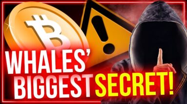 5 Secrets Crypto Whales and Insiders Don’t Want You To Know (But You Should)