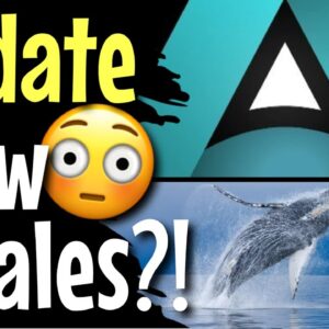 AVARICE TOKEN | LOBBY IS STARTING TO PICK BACK UP!! | IS AVARICE GOING TO CREATE NEW CRYPTO WHALES?!
