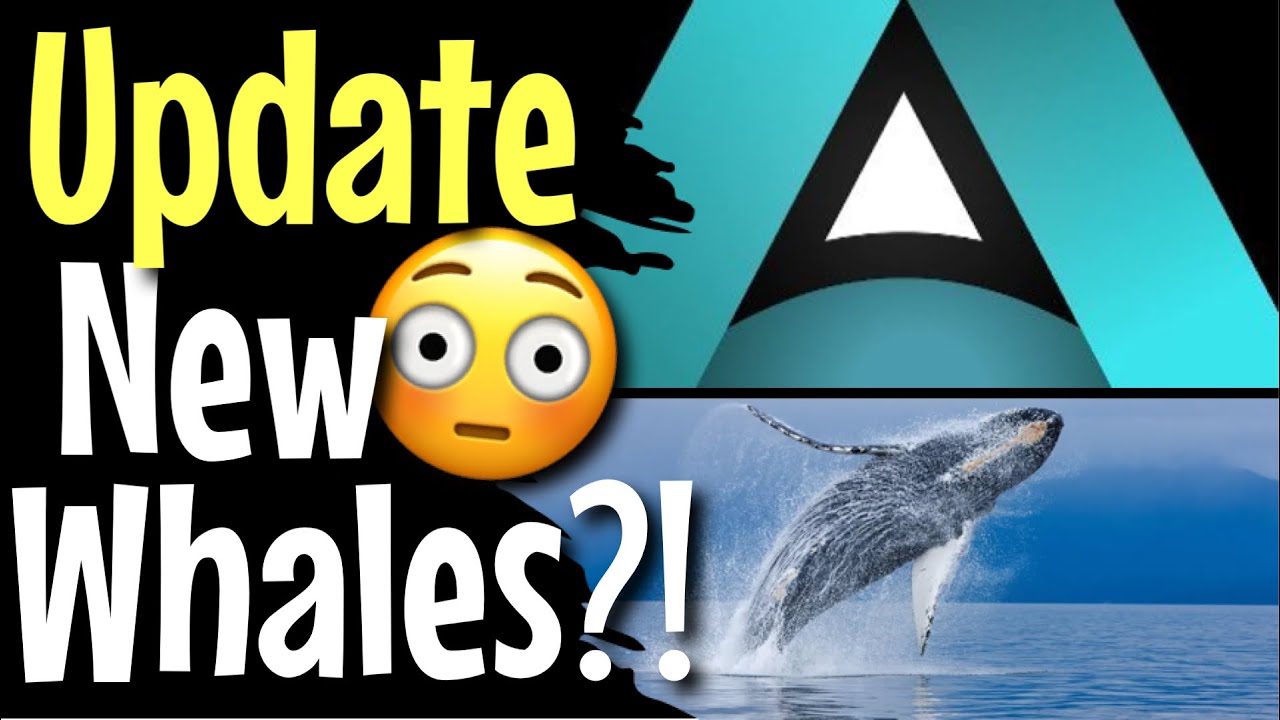 AVARICE TOKEN | LOBBY IS STARTING TO PICK BACK UP!! | IS AVARICE GOING TO CREATE NEW CRYPTO WHALES?!