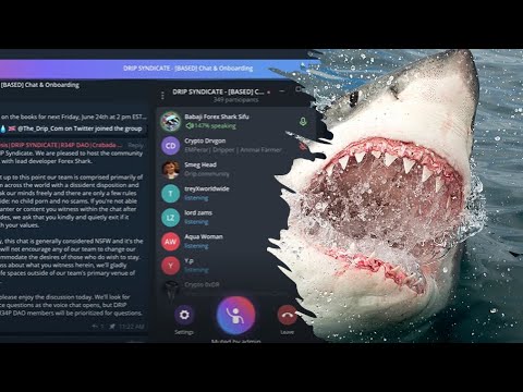 FOREX SHARK AMA 6/24/22 MAJOR ALPHA REVEALED | NEW DOGS PIGS GAME, VAULTS, NEW DRIP CONTRACT COMING