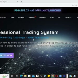 PEGASUS UPDATE | PAYING AND WORKING SMOOTHLY DURING THIS BEAR MARKET 🤔🐻💰 | HIGH RISK HIGH REWARD