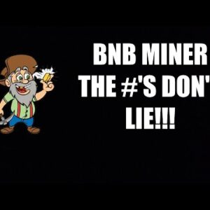 BNB MINER FINANCE - THE #'S DO NOT LIE!!!