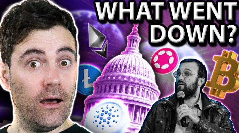 CRAZIEST Crypto Hearing EVER! Hereâ€™s What Went Down!!