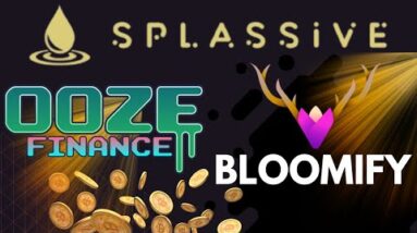 SPLASSIVE UPDATES AND AIRDROP / OOZE PRICE GOING UP / BLOOMIFY EARN 1% PER DAY