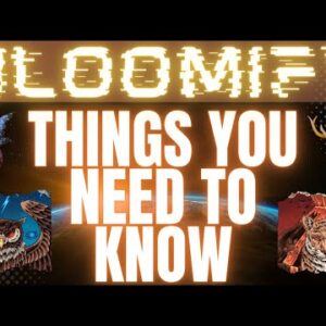 Bloomify - Things You NEED To Know Before You Invest!!!