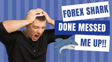 FOREX SHARK DONE MESSED ME UP!! (plus another fun fact)